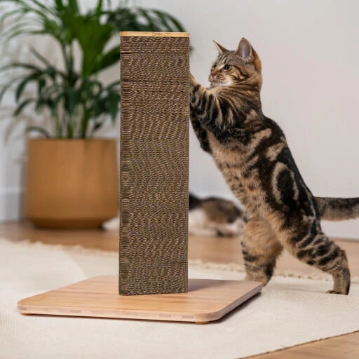 Refillable Cardboard Cat Scratching Post