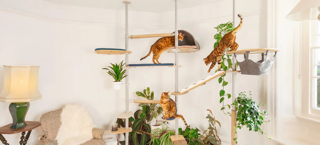 Freestyle Floor to Ceiling Cat Tree - Customisable Cat Tower