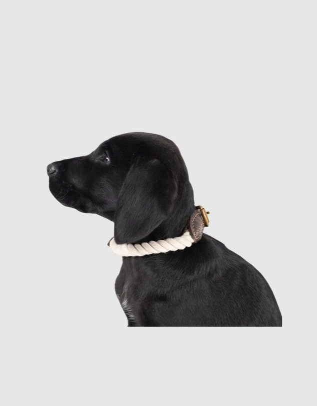 Mog & Bone Rope and Leather Dog Collar