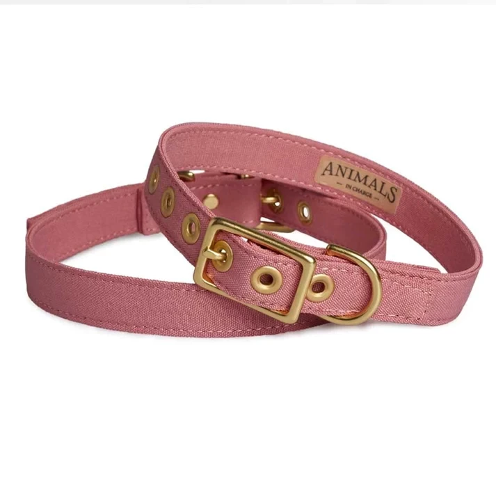 Animals In Charge All Weather Dog Collar