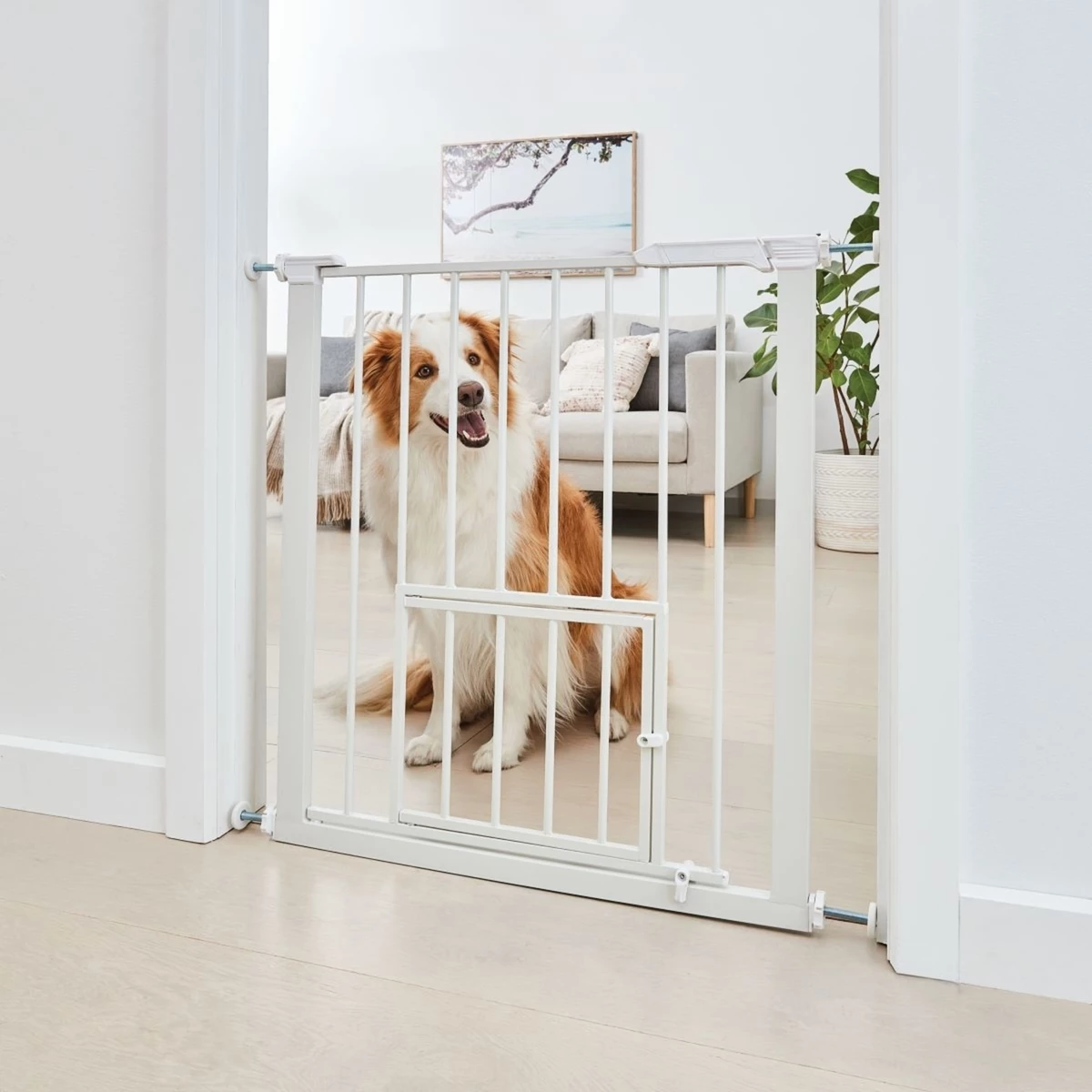 Pet Gate with Extension