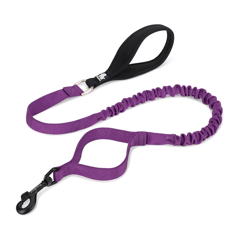 Bungee Dog Leash With Soft Padded Handle