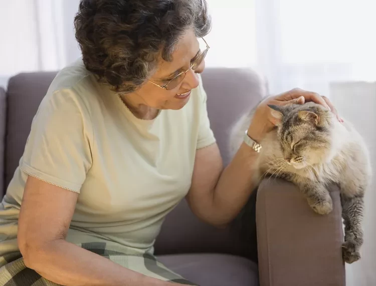 Signs Your Cat Is Aging and When to See the Vet