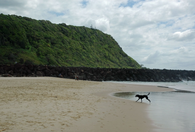 Palm Beach - Tallebudgera Dog Beach