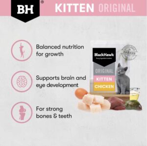 Feedback - BLACK HAWK Original Dry Cat Food Kitten Chicken