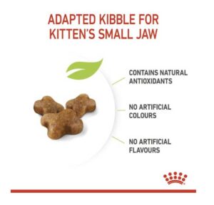 Feedback - Royal Canin Growth Kitten Cat Food