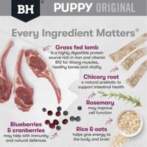 What Does Buyer Feedback Tell Us About Black Hawk Lamb & Rice Medium Puppy Food 2