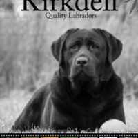 1705299039629-KIRKDELL