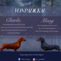 1720735806649-VONPADICKAL