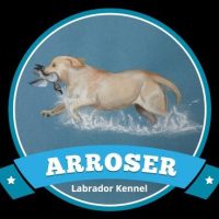 1721777122844-ARROSERLABRADORS