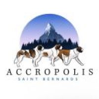 accropolis10_3302023113250