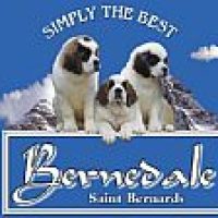 bernedale_3222014125327