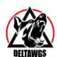 deltawgs_11212022184314