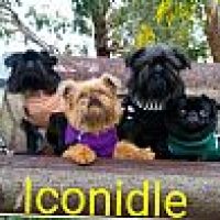 iconidle_922017222850