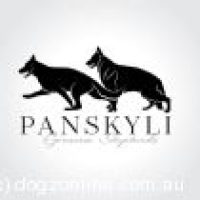 panskyli_112520201565