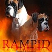 rampid_312019211149