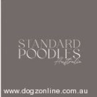 standardpoodlesaus_722023184944